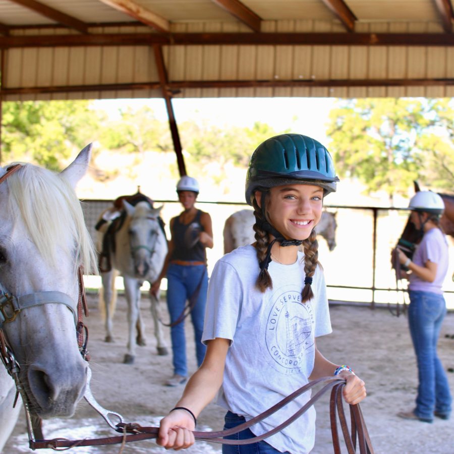 horses3 horses3